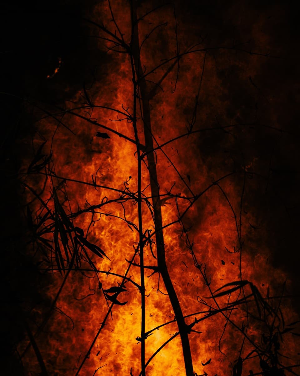 wildfire protection services